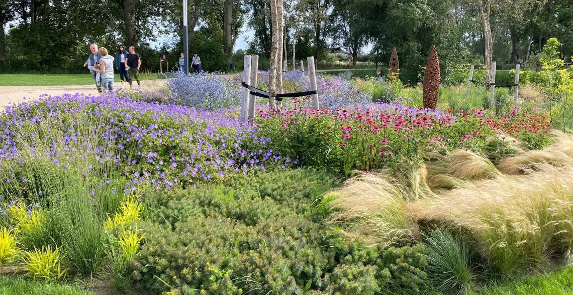 Blütenpracht auf der Landesgartenschu in Beelitz