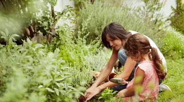Eine Frau und ein Mädchen pflanzen Gemüse in einem grünen Garten